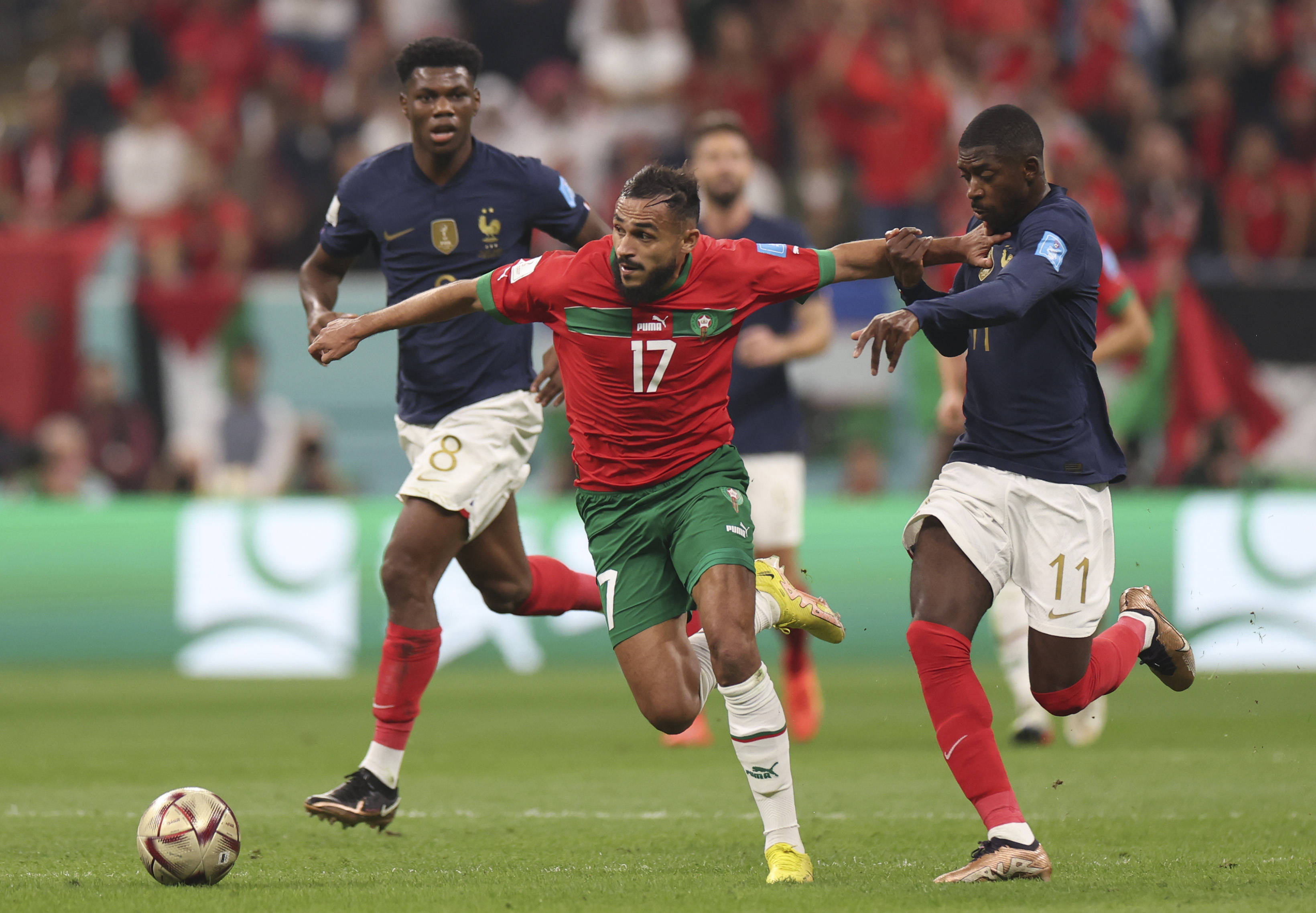 强健的体魄 强健的体魄