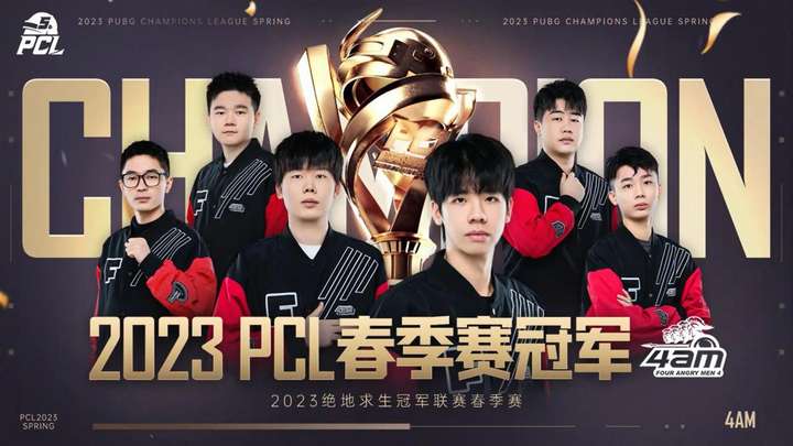 示出对网球 示出对网球