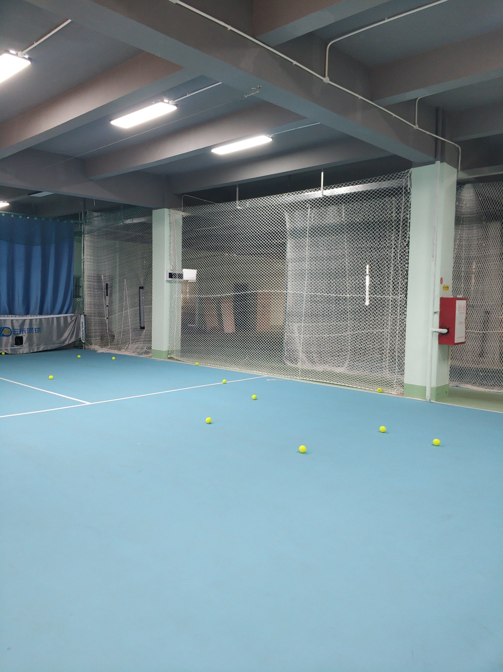 任的选择 任的选择